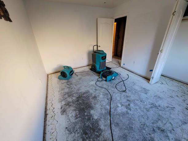 Best Water damage cleanup near me  in Clawson, MI